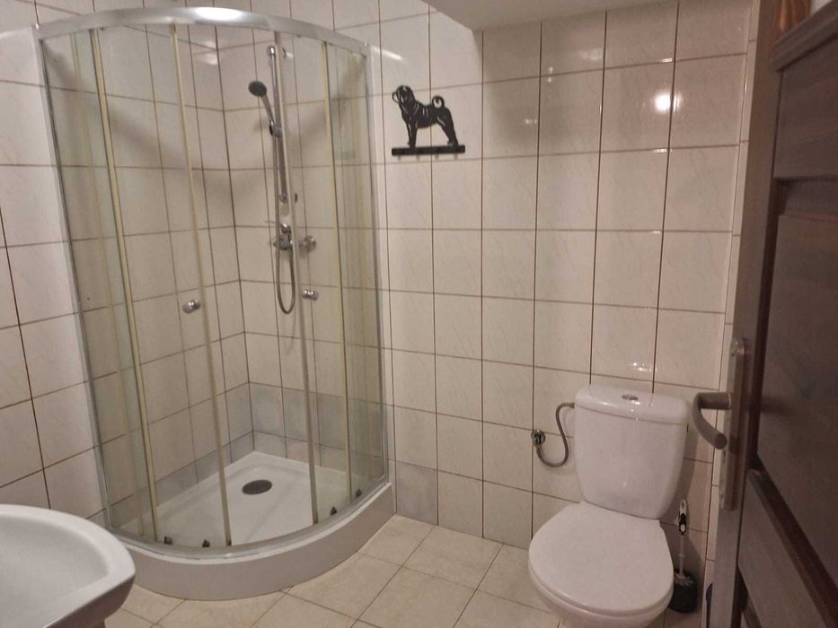 Mieszkanie - kawalerka na wynajem