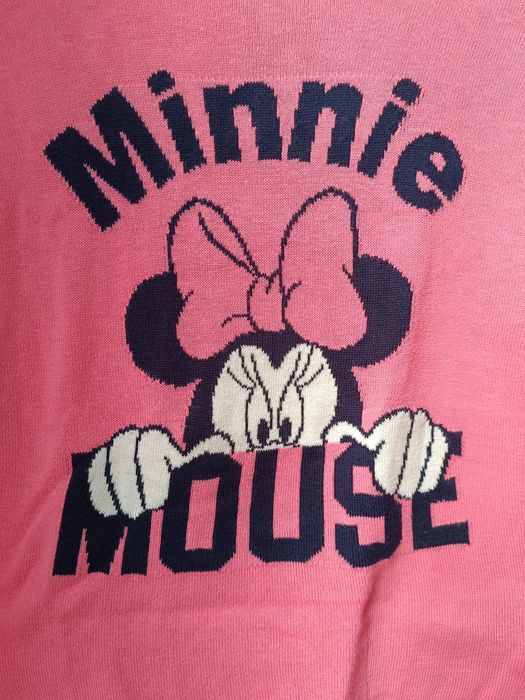 Malha Disney Zippy