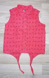Koszula bluzka flamingi wiązana na dole flaming Young Dimension 146