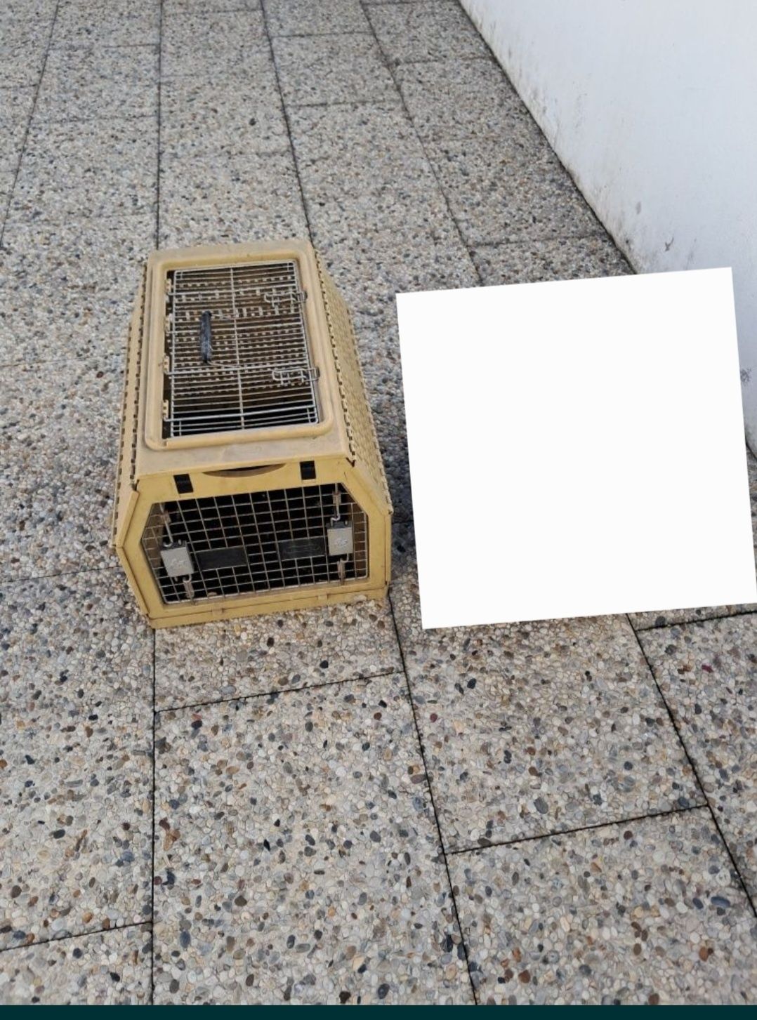 Caixas transportadoras para cães de pequeno porte ou gato