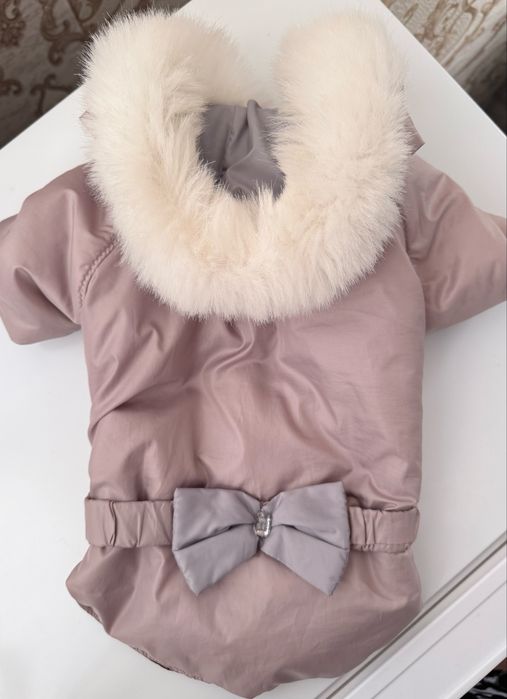 Одяг та куртки для собак