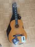 Gitara Alvaro L40