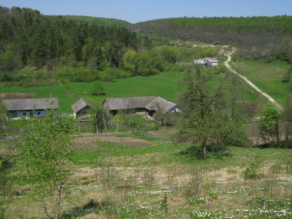 Ділянкана хуторі Мивсева