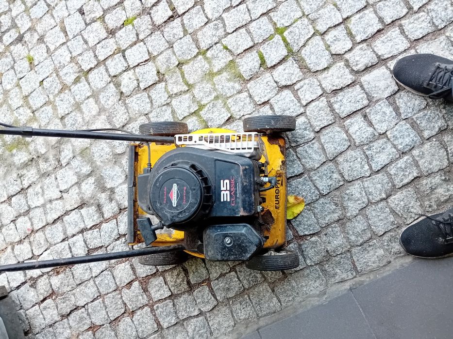 Kosiarka spalinowa brigs station