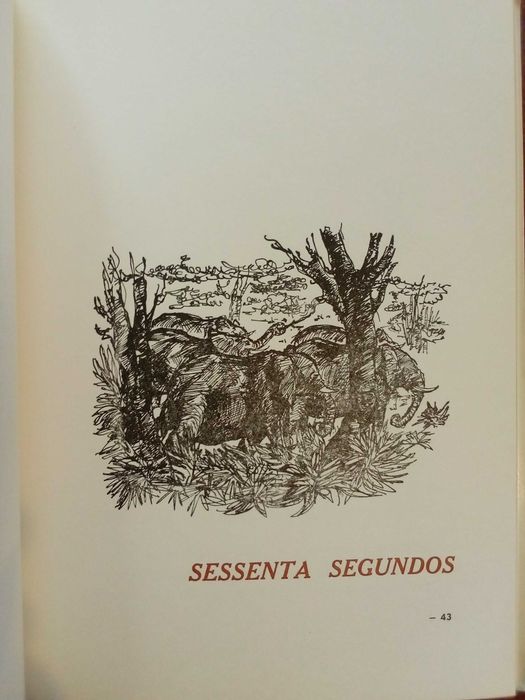 Nuno Bermudes - O círculo de luz