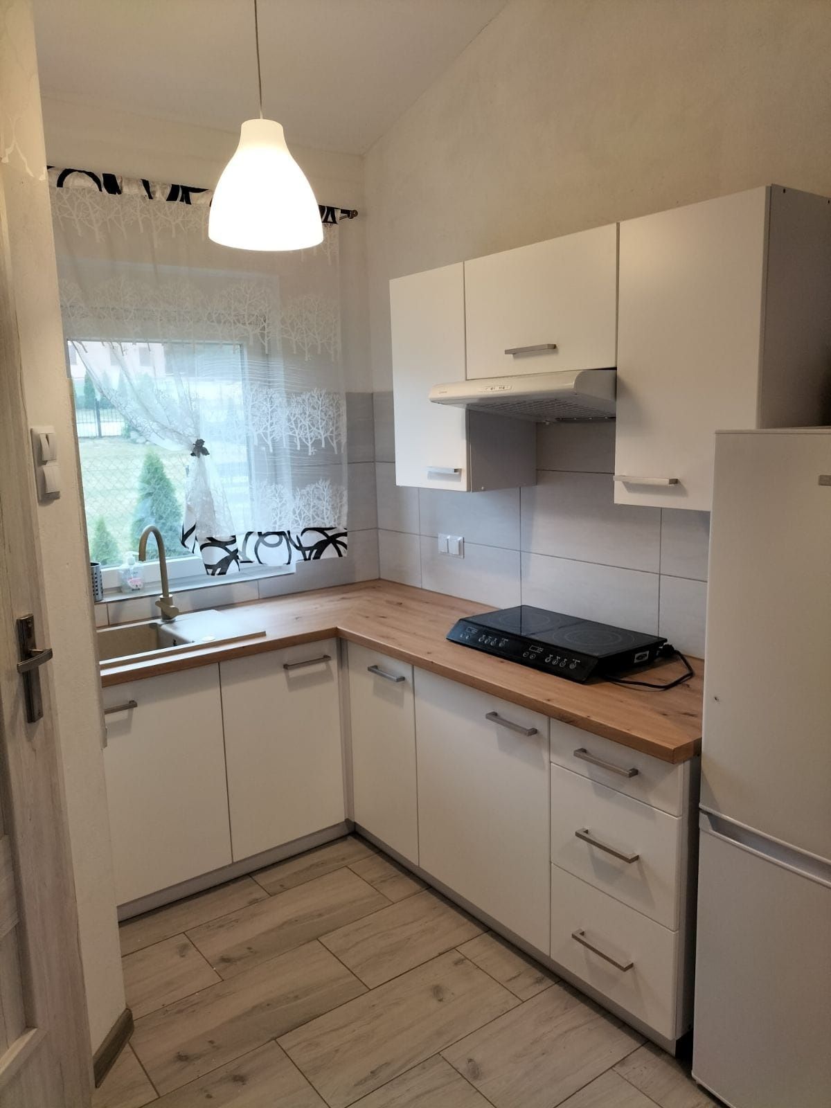Apartament Boszkowo Dominice