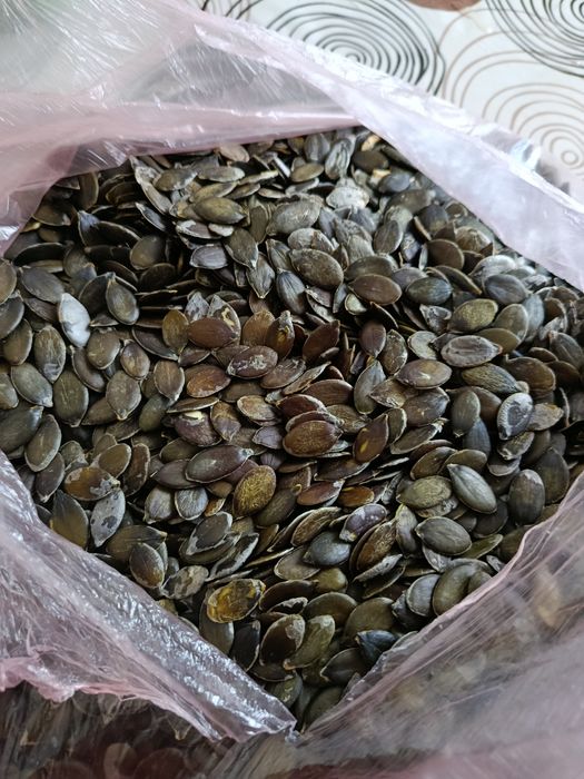 Гарбузове насіння голонасінне гарбузове насіння