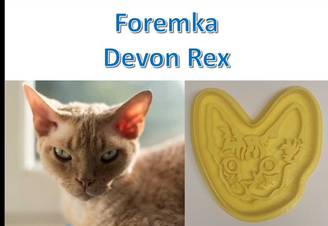 Foremka 3D w kształcie kot Devon Rex