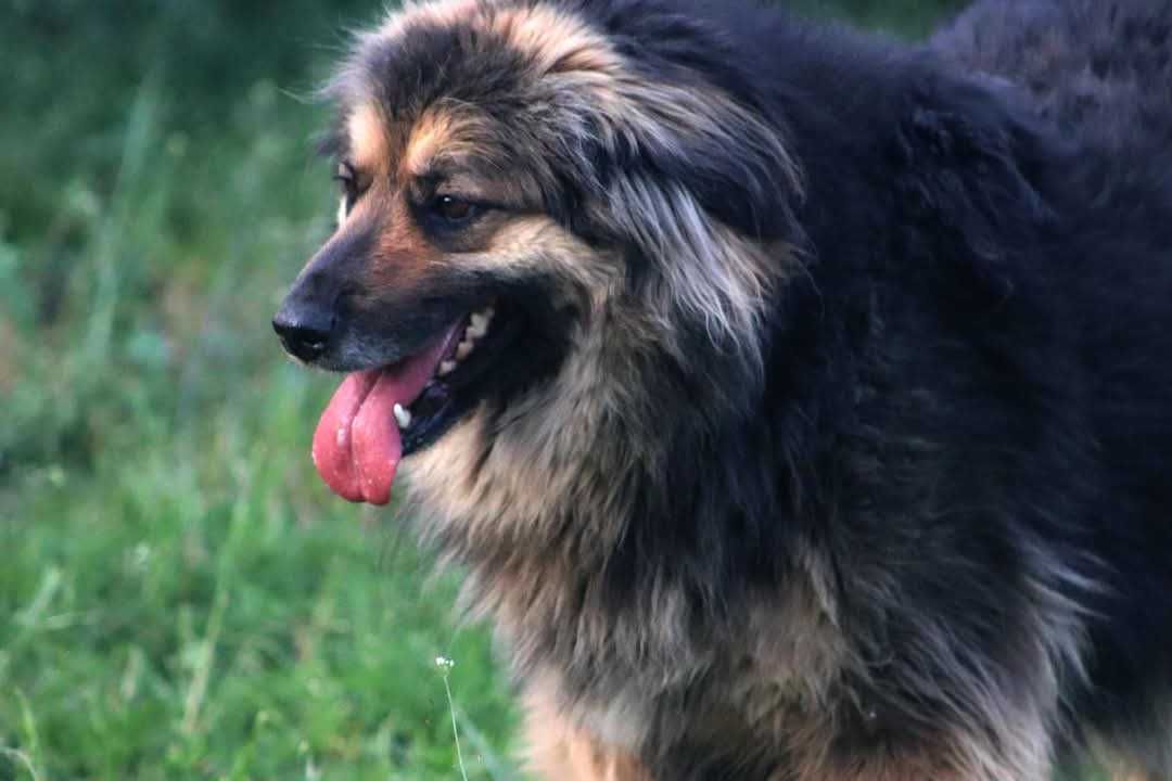 KOLINA czeka na Ciebie