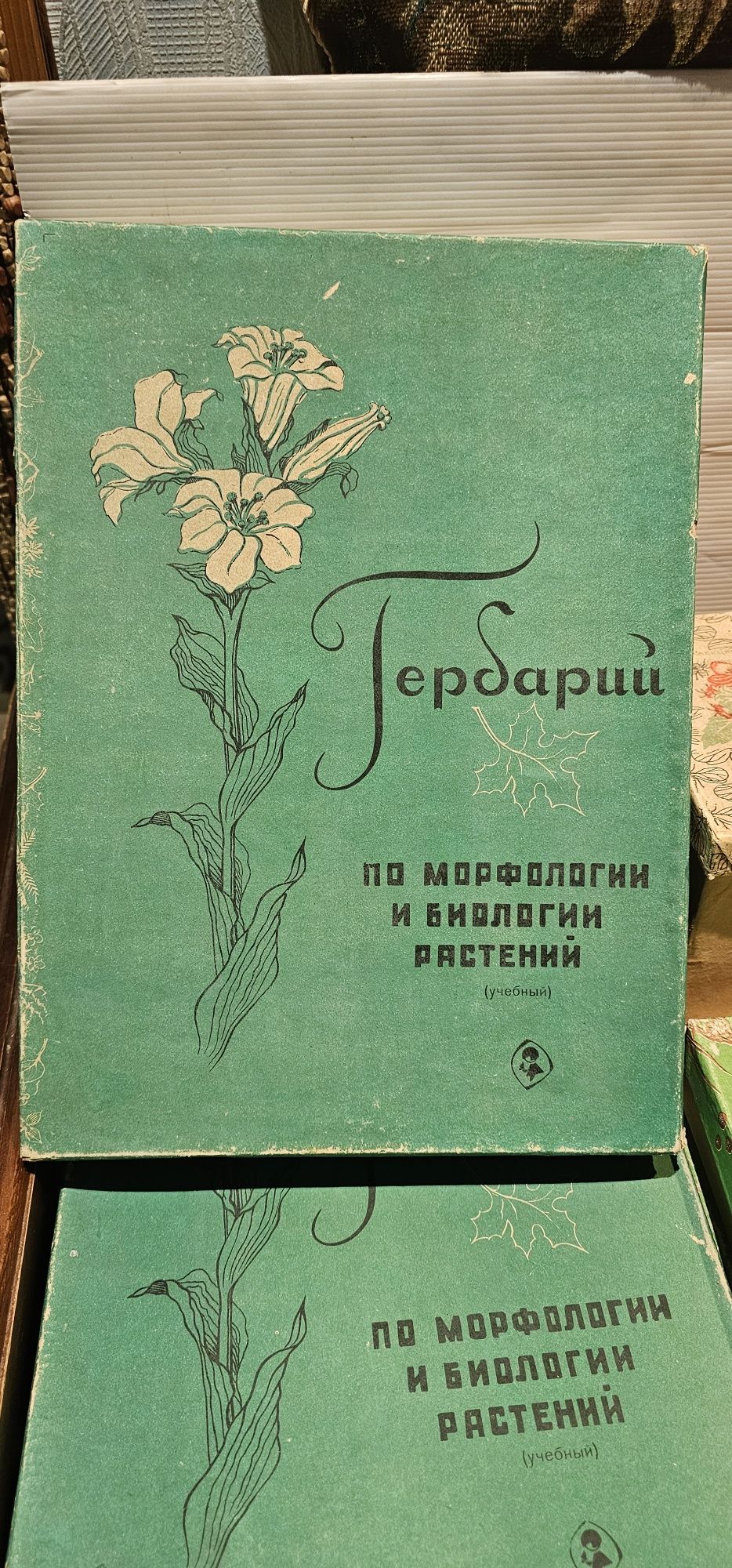 Комплект учебный растения и семена гербарий