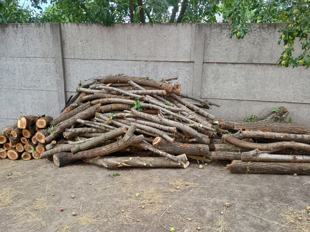 Продам дрова різних порід
