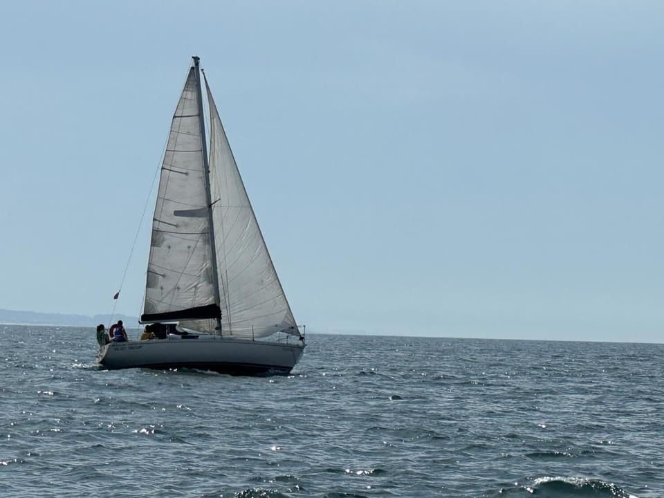 Beneteau First 30 (veleiro)