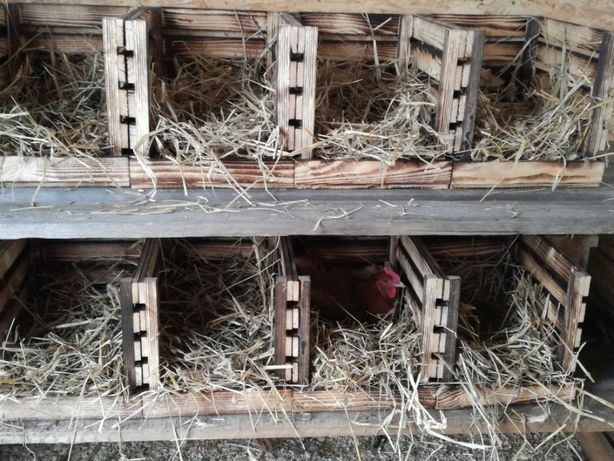 Skrzynka drewniana gniazdo dla kur niosek grzęda kurnik do wylęgu