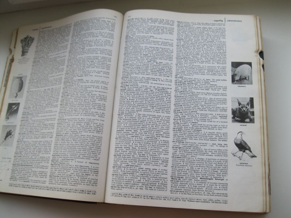 словарь американского наследия английского языка 1969 год
