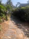 Limpeza de terreno e manuntenção de jardim , poda de árvores .