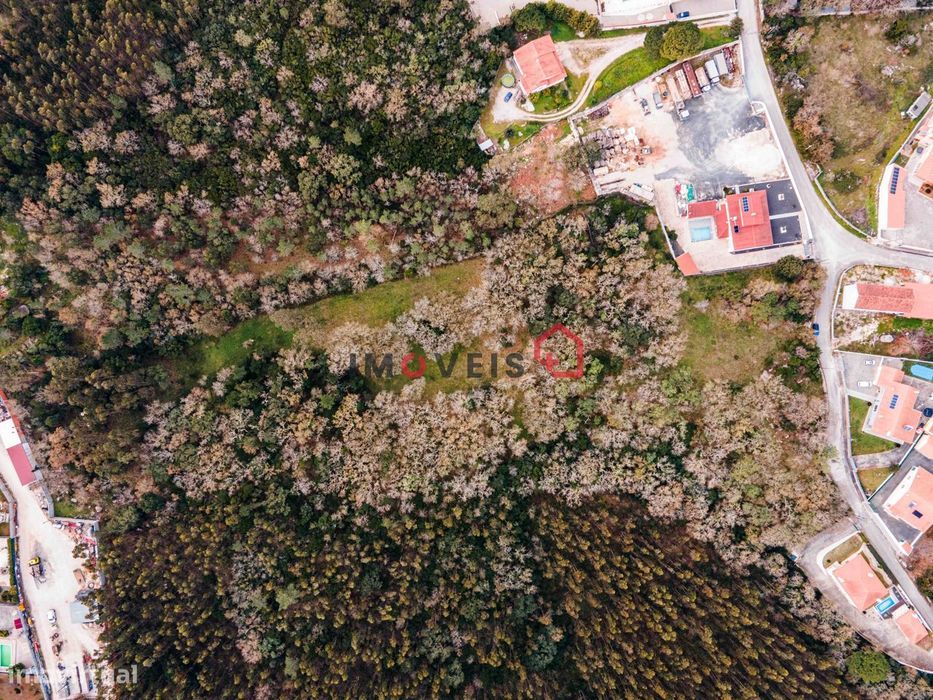 Terreno - Covão Alto - Aljubarrota