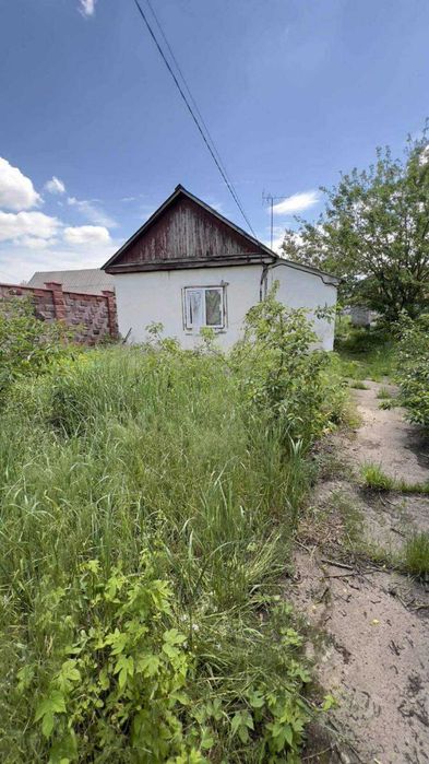 Продам будинок та велику земельну ділянку (Хіммаш)