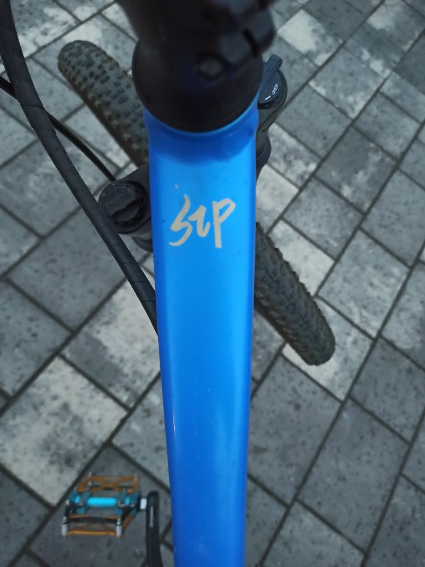 Rower giant STP 24