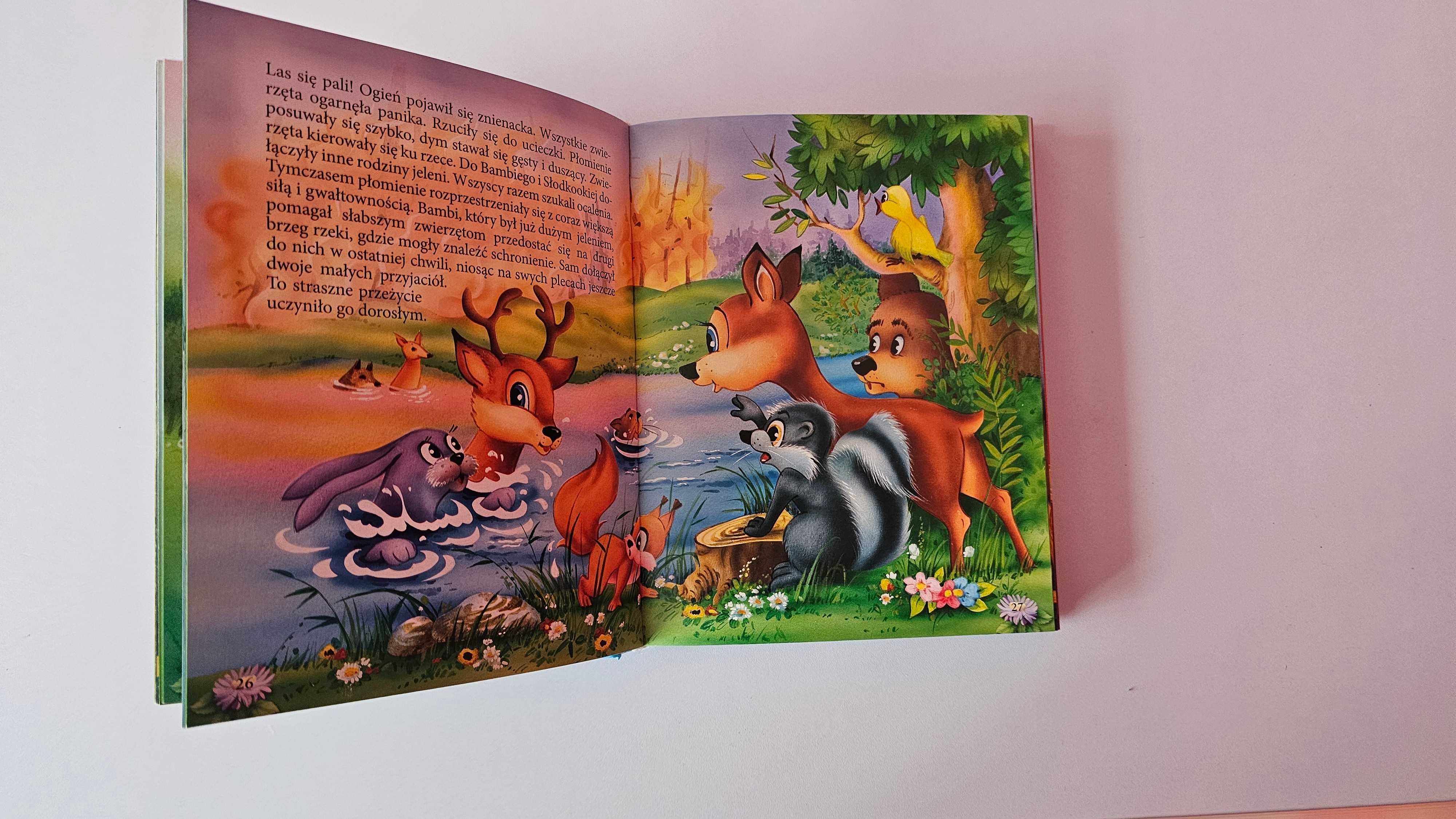 Książka "Bajki Bajeczki", stan bardzo dobry