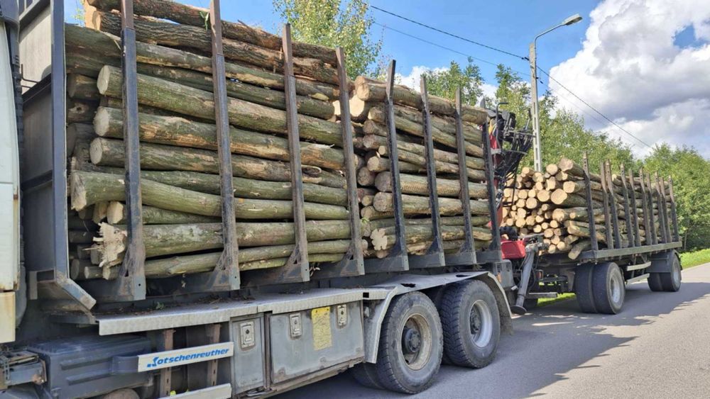 Drewno Kominkowe Opałowe ilości Cało Tirowe