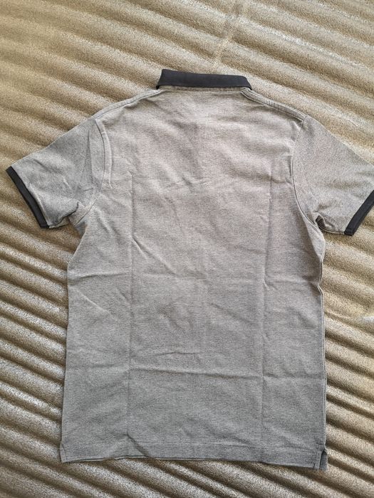 Polo Springfield