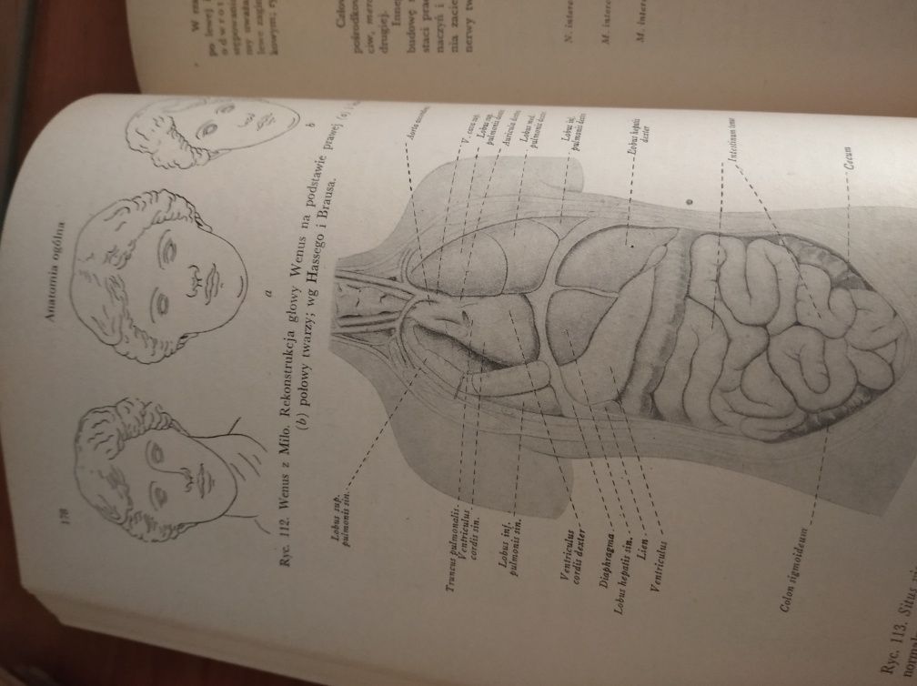 Książka anatomia człowieka