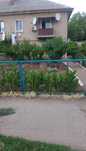 Продам 3 кімнатну квартиру