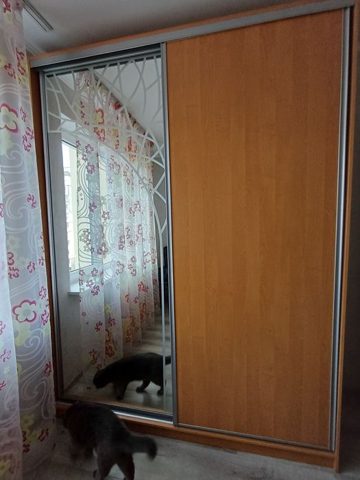 Шкаф купе. Шафа з дзеркалом