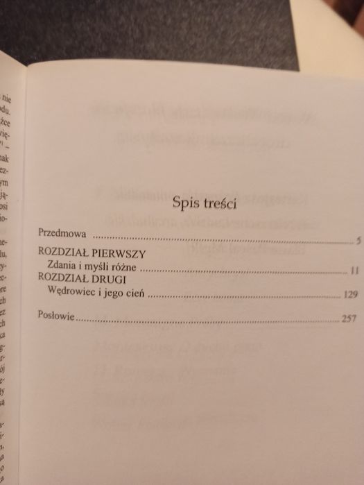 Nietzsche wędrowiec i jego cień