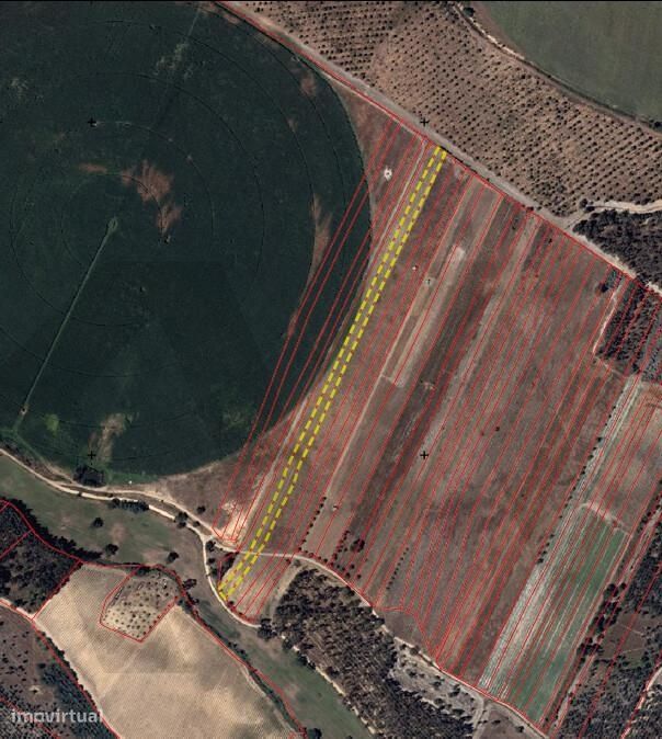 Terreno - Águas Vivas - Chamusca