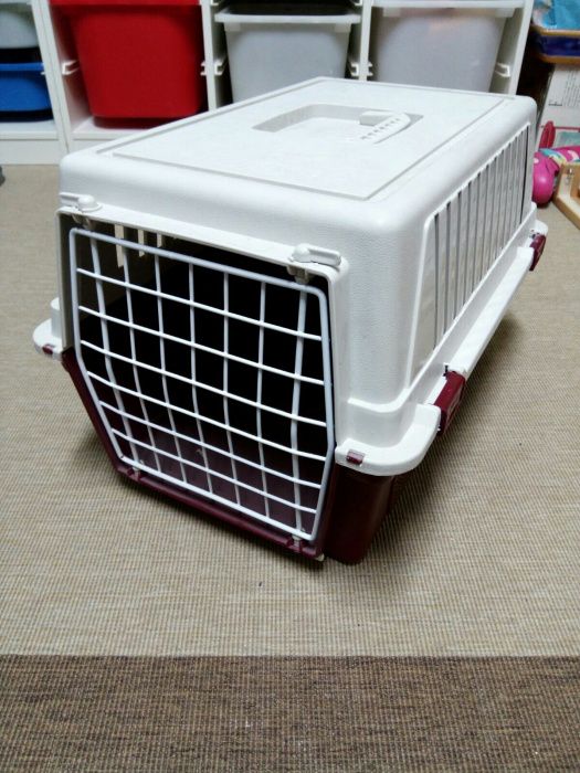 Transportadora de animais