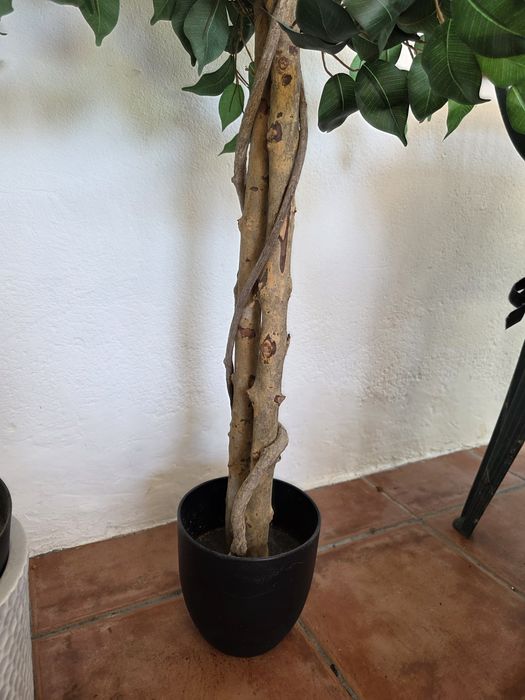 Planta artificial cerca de 1.20cm altura. Imitação de Ficus Benjamina.