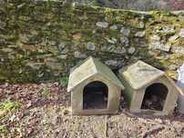 Casotas em cimento para cães