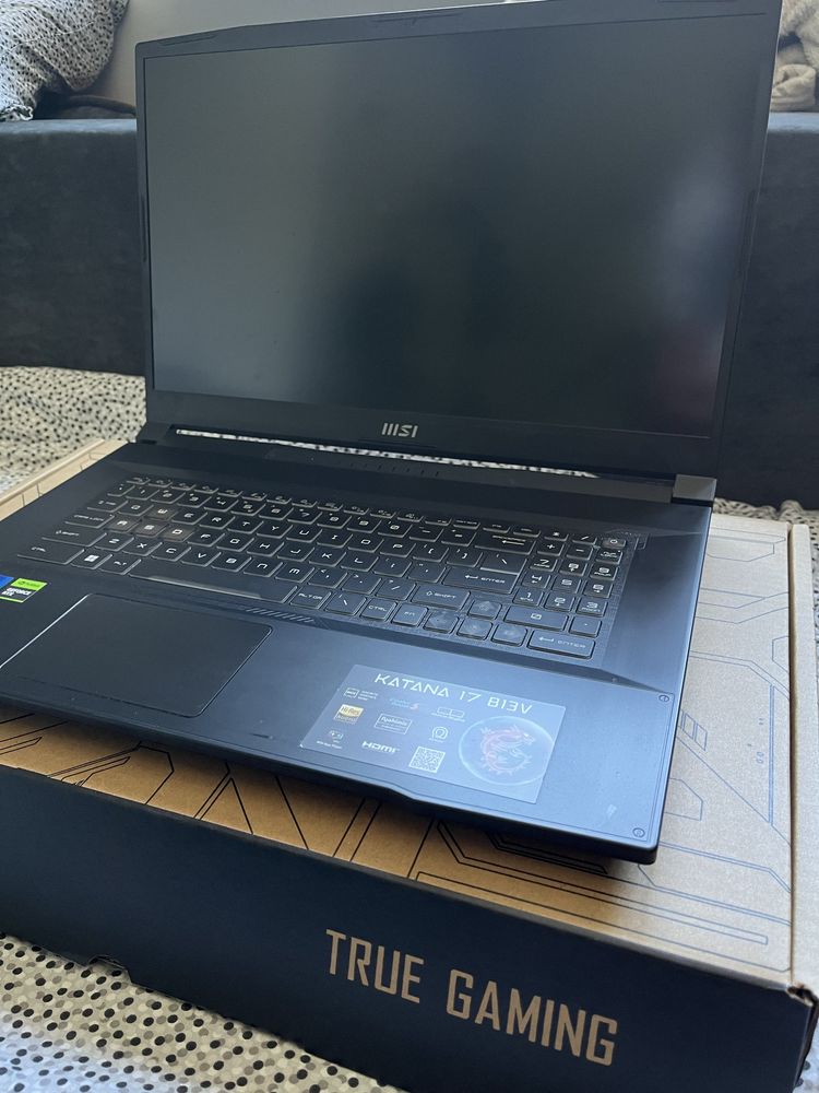 MSI Katana 17 b13v
