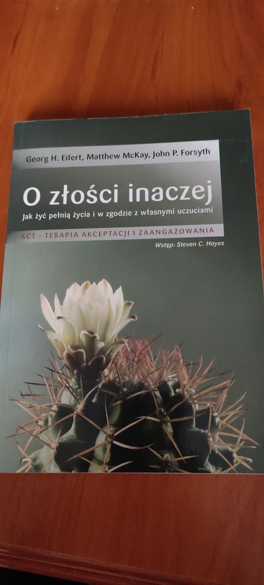 O ZŁOŚCI INACZEJ - Georg H. Eifert , Matthew McKay , John P. Forsyth