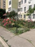 Королева / тополева 4 комнатная каартра