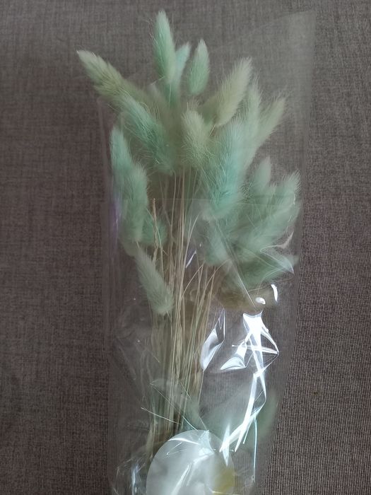 Лагурус натуральний