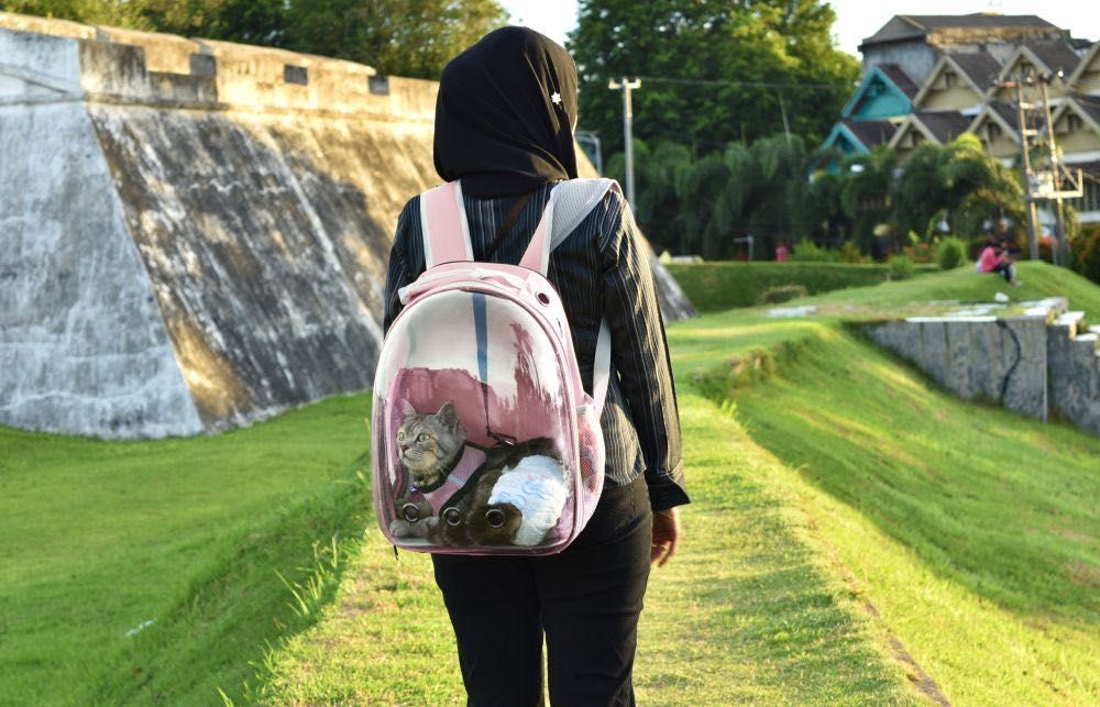 NOWY Plecak Transporter Dla Psa Kota ZooVera Różowy - innowacja roku!