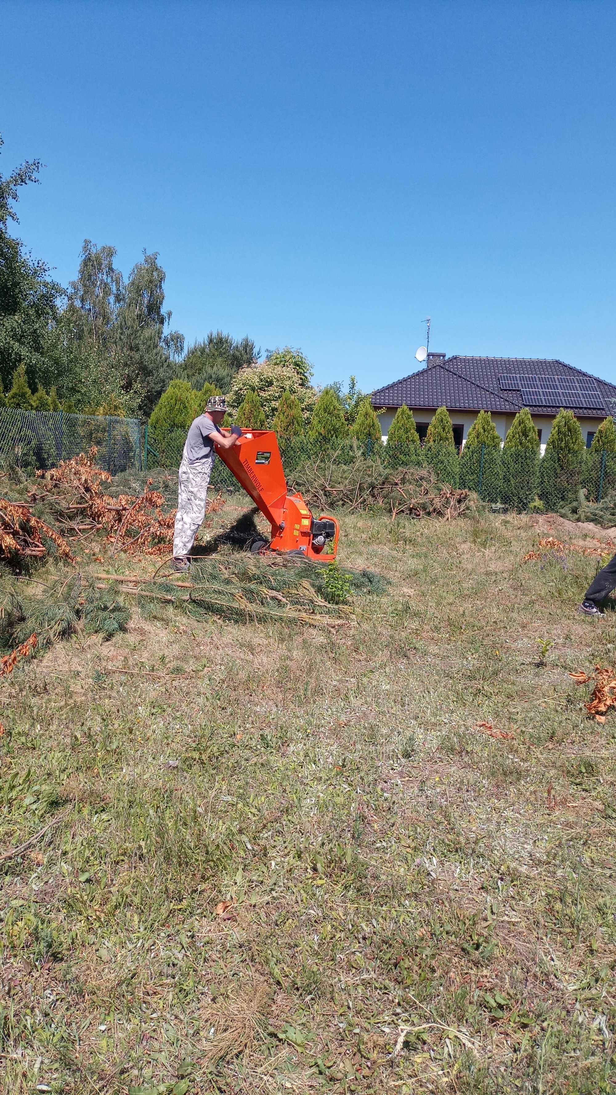 Wycinka drzew i krzewów ,czyszczenie działek,usługi glebogryzarka