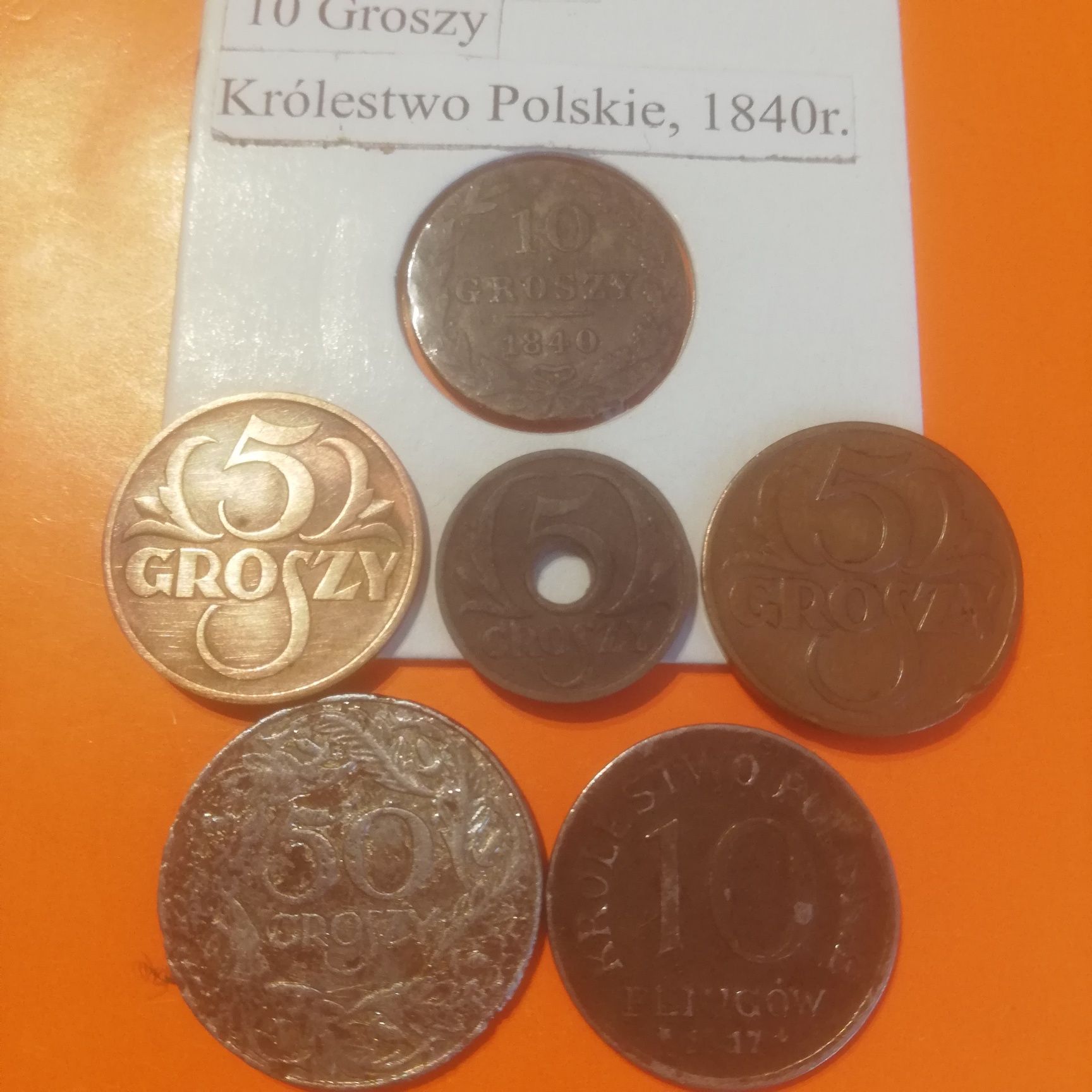 Zestaw Polskich groszy i fenigów 1840 - 1939, rzadsze/6 szt