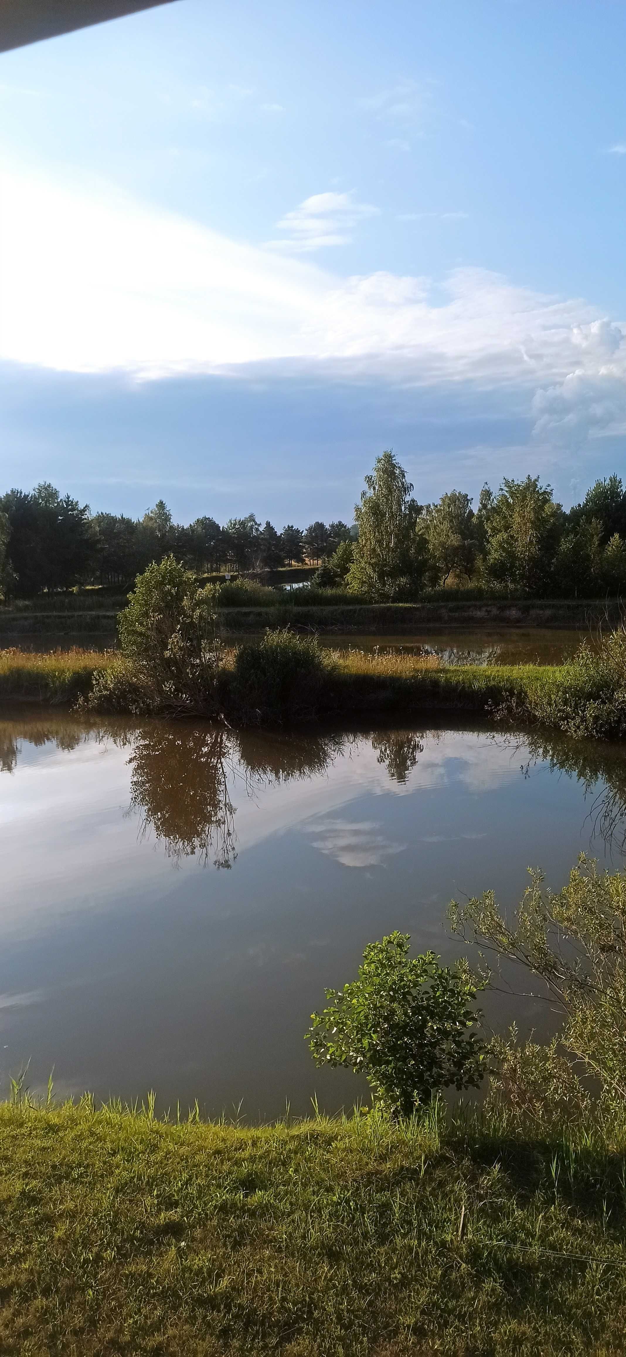 Stawy Rybne pod agroturystykę + Działki