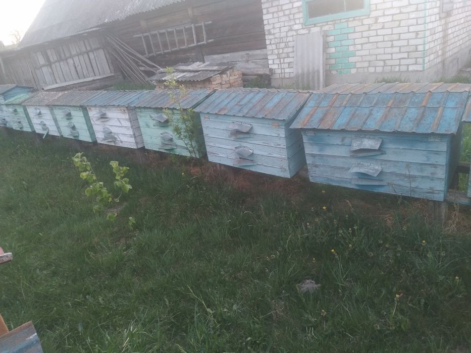 Продам вулики різні