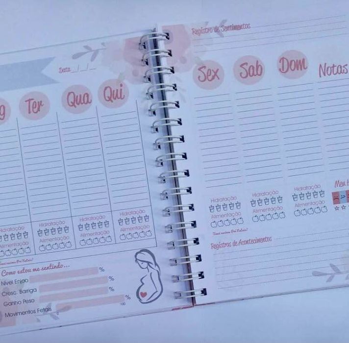 Agenda planner da gravida