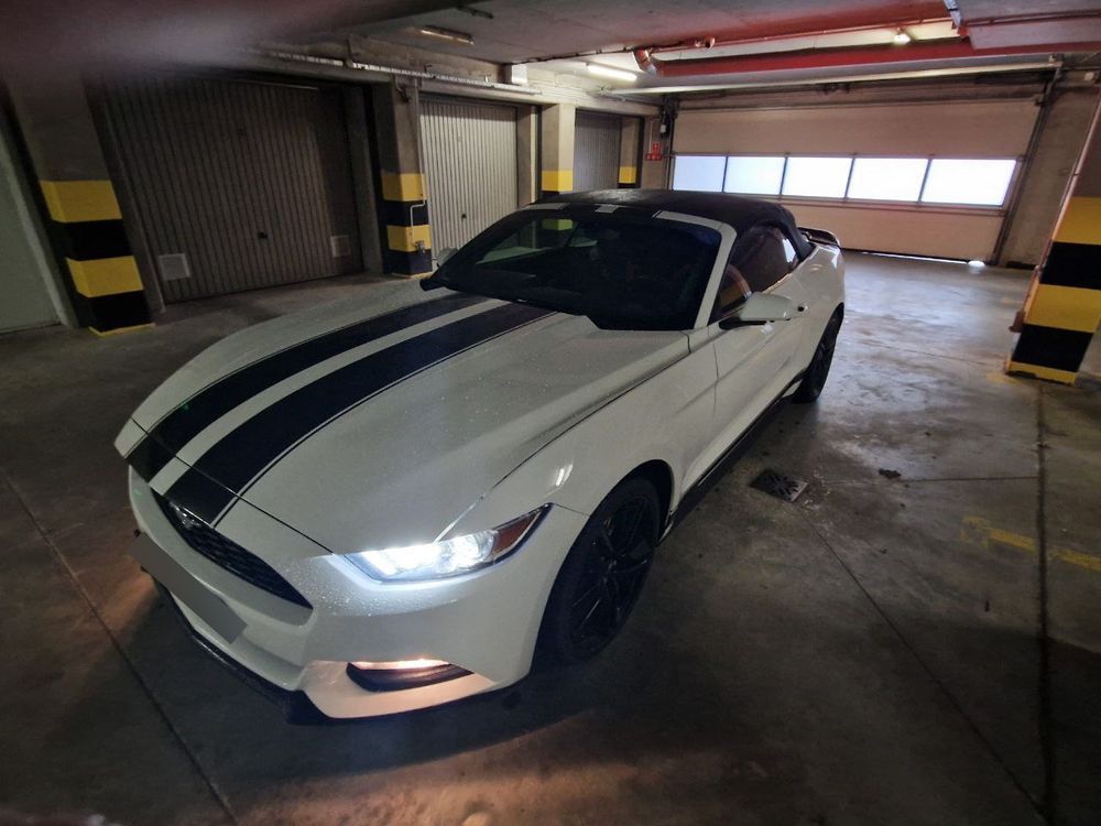 Ford Mustang Mustang Cabrio Piękny. V6 305km. Sportowy Wydech