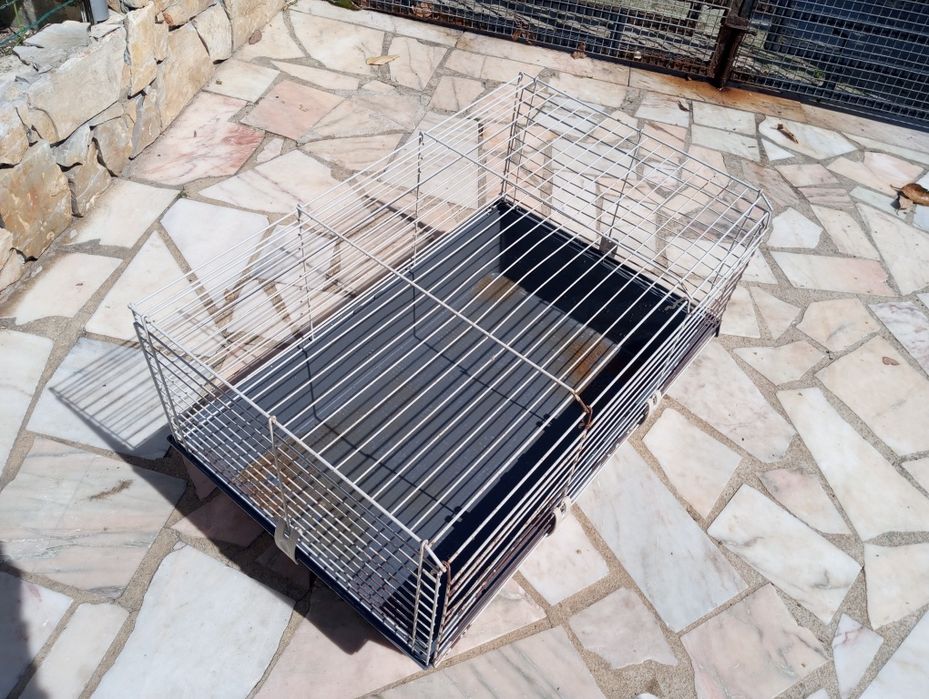 Gaiola para Porquinho da Índia/coelho
