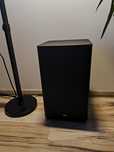 Sandbar tcl Roy Danz ts9030