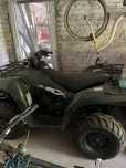Kawasaki brute force 750