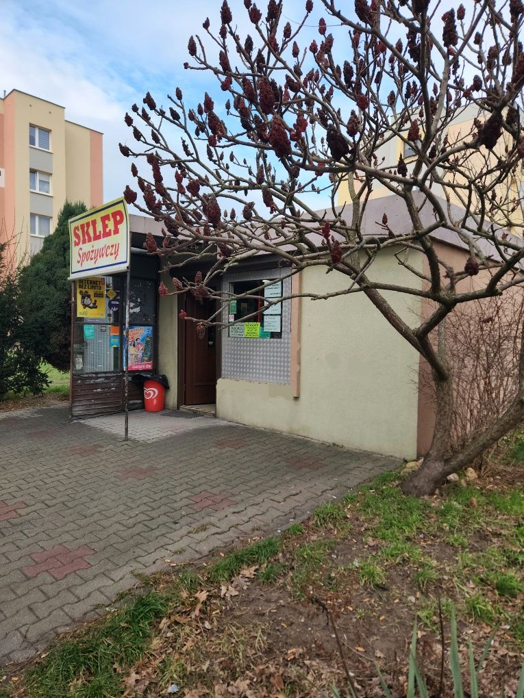 Lokal usługowy wolnostojący