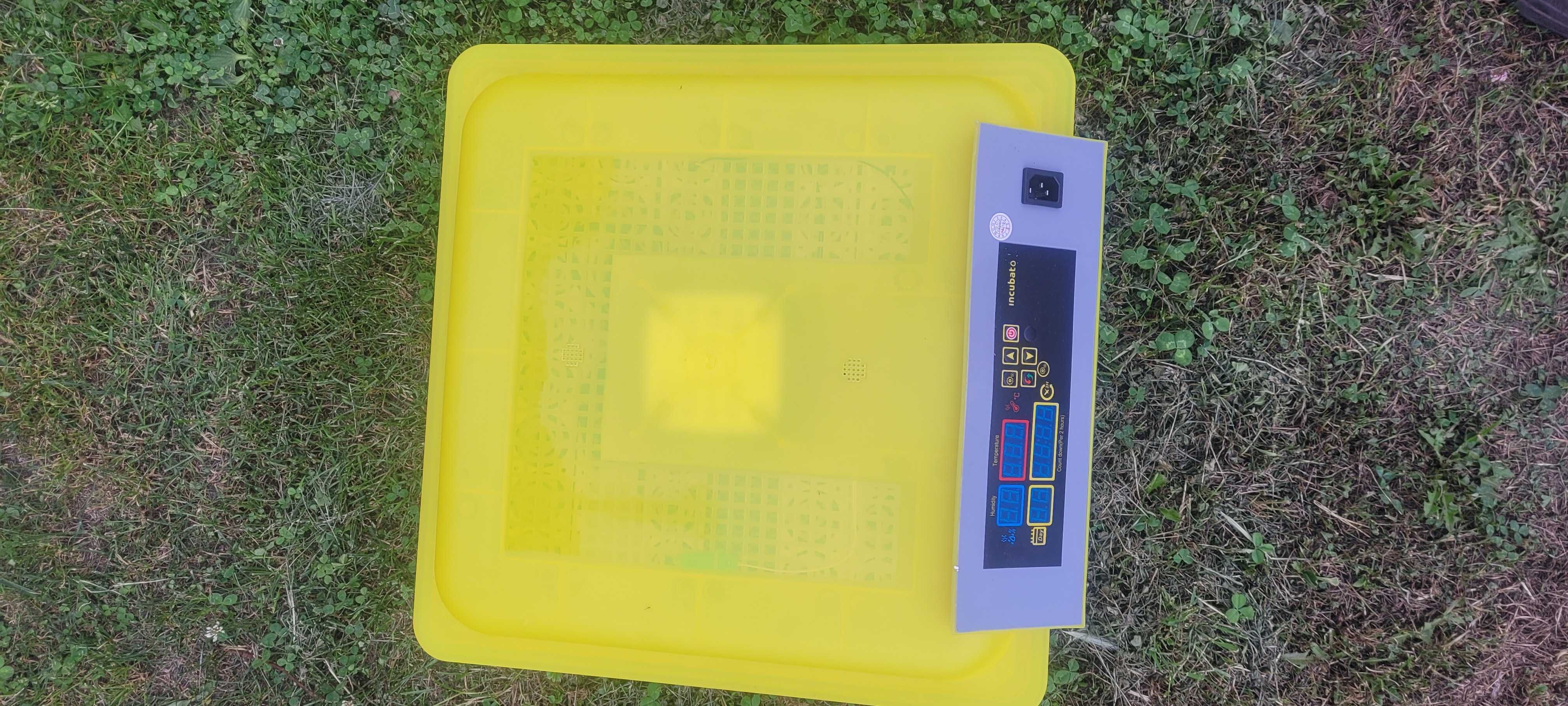 Inkubator cyfrowy z automatyczną regulacją temperatury wylegarka