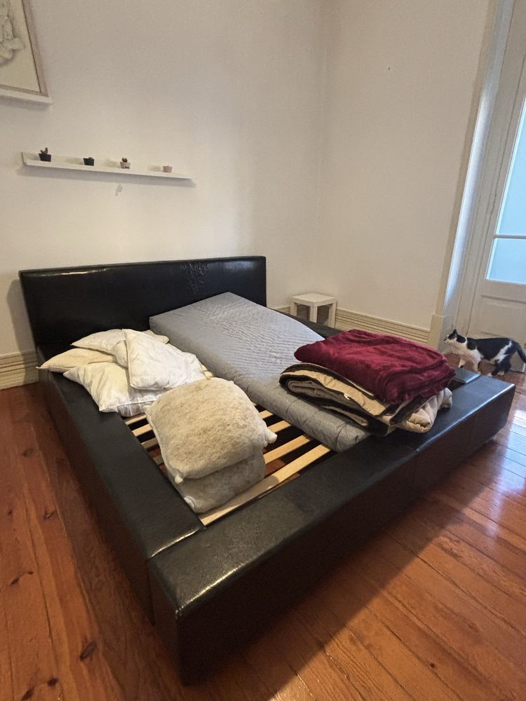 Cama Casal em Polipele